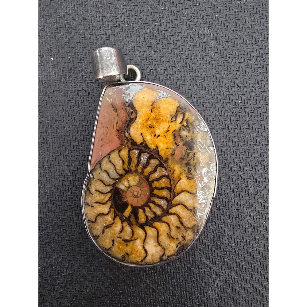 Charles Albert Sterling Silver Ammonite Fossil Statement Pendant Large Brown Tan